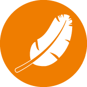 Lightweight linear guide